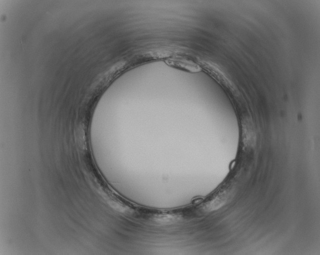 X0000077400453200611101824