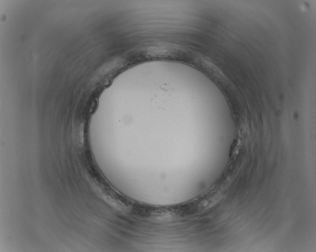 X0000077400454200611101824