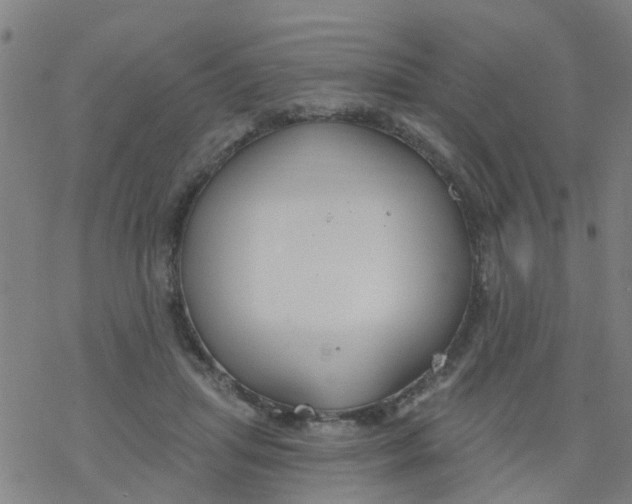 X0000077400455200611101824