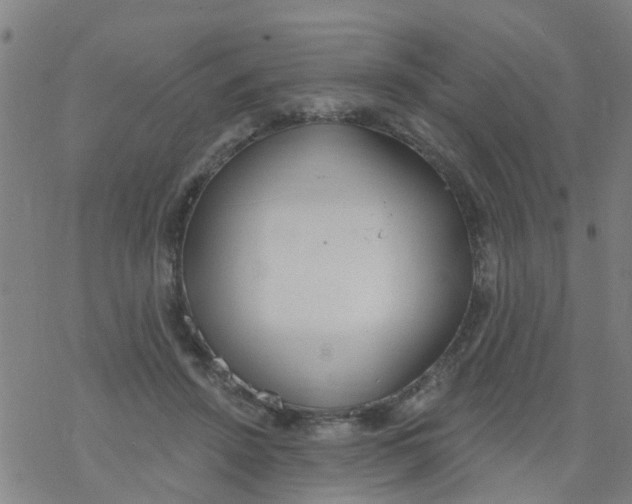 X0000077400456200611101824