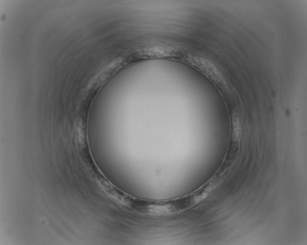 X0000077400457200611101824