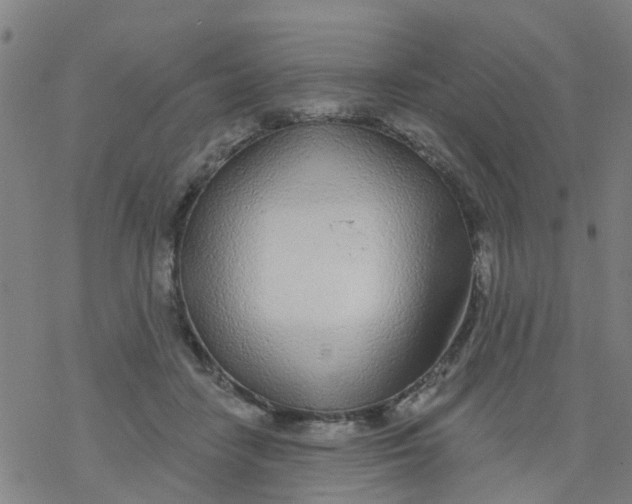 X0000077400458200611101824