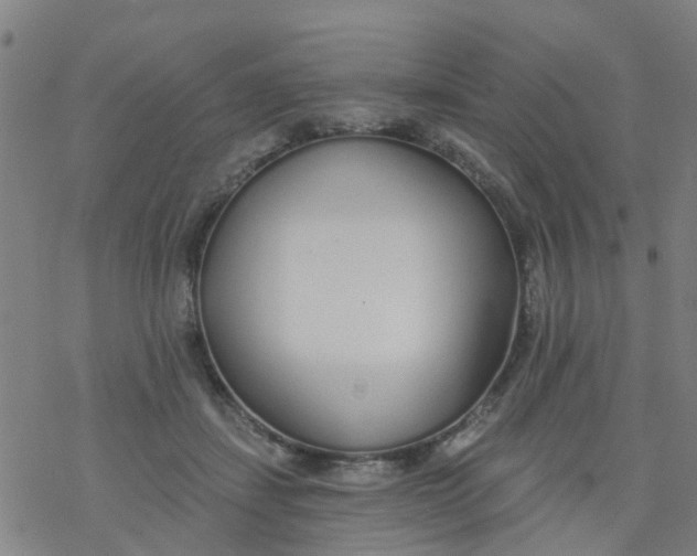 X0000077400459200611101824