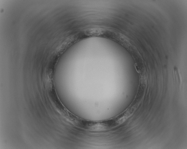 X0000077400460200611101824