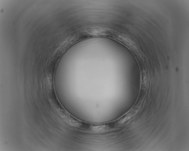 X0000077400461200611101824