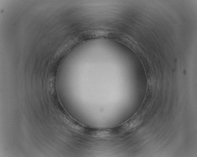 X0000077400462200611101824