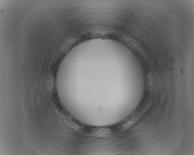 X0000077400463200611101824