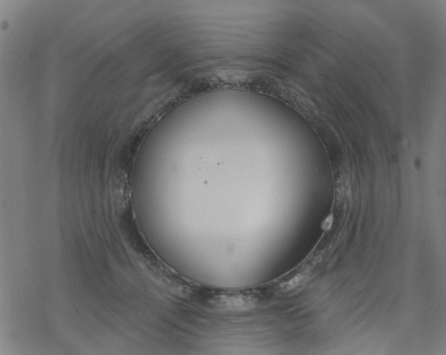 X0000077400464200611101824