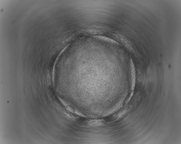 X0000077400465200611101824