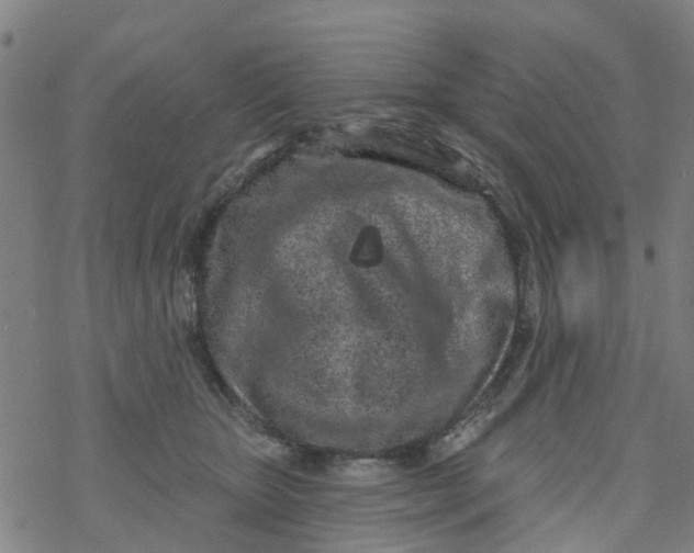 X0000077400467200611101824