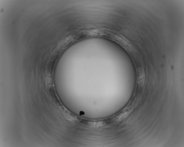 X0000077400469200611101824