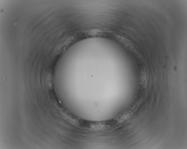 X0000077400470200611101824