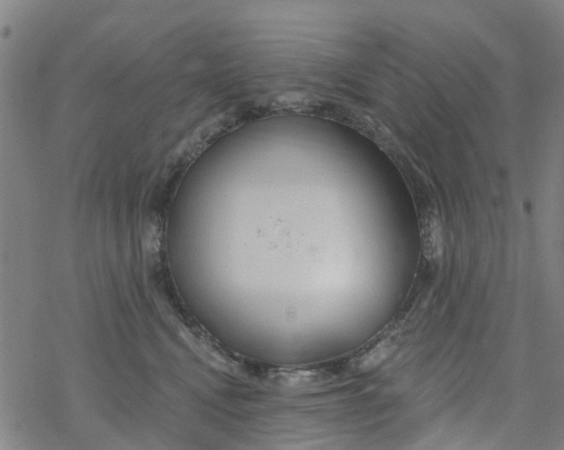 X0000077400472200611101824