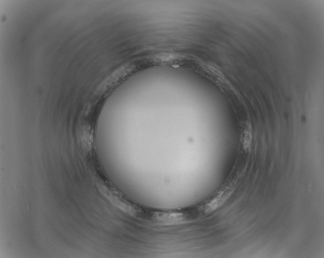 X0000077400476200611101825