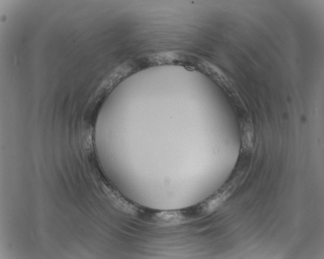 X0000077400477200611101825