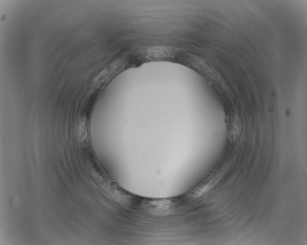 X0000077400478200611101825