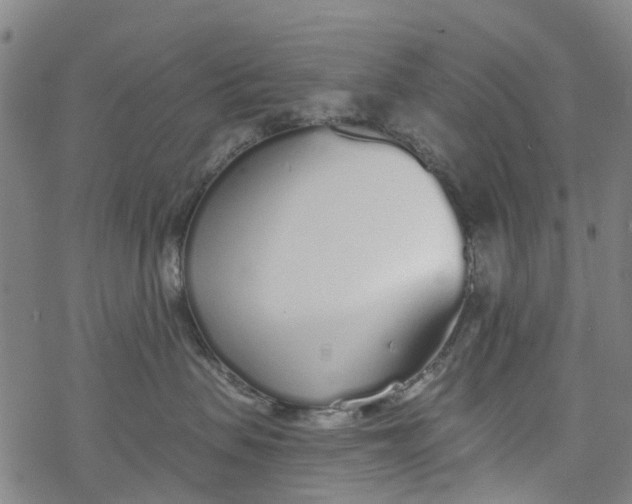 X0000077400479200611101825