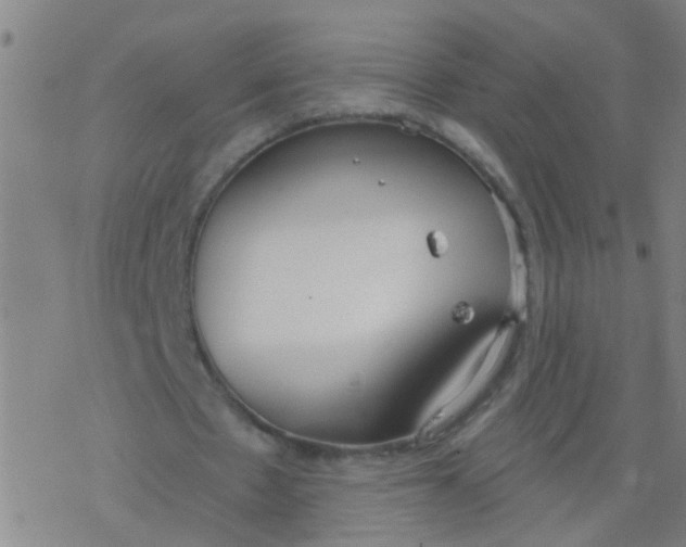 X0000077400481200611101824