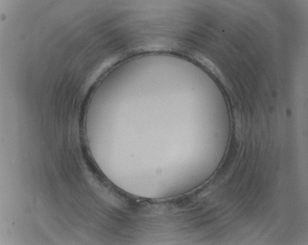 X0000077400482200611101824