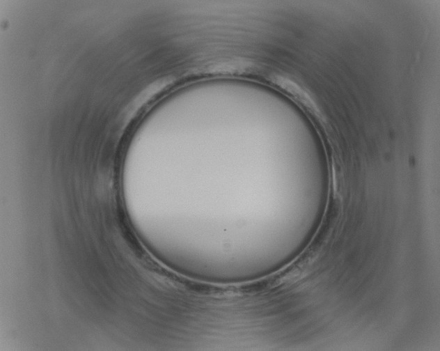 X0000077400483200611101824