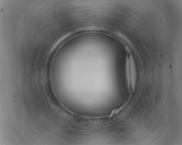 X0000077400484200611101824