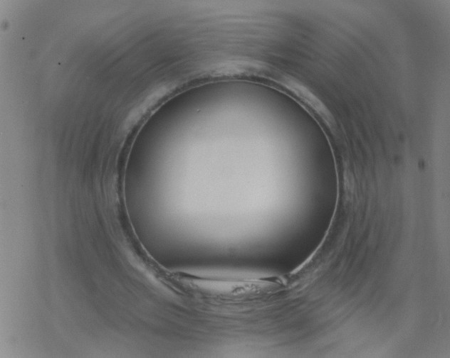 X0000077400485200611101824