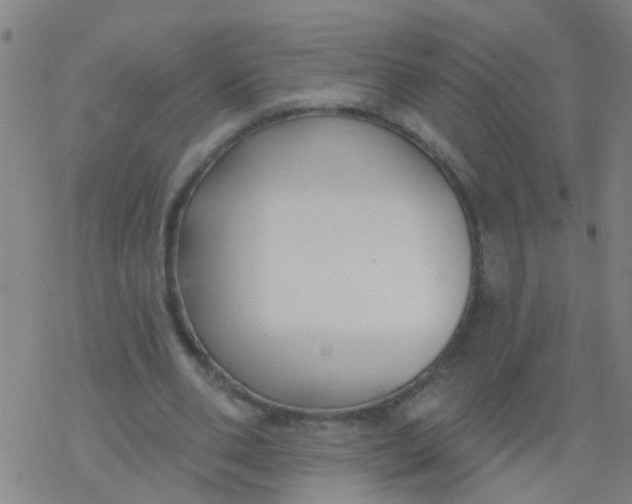 X0000077400486200611101824