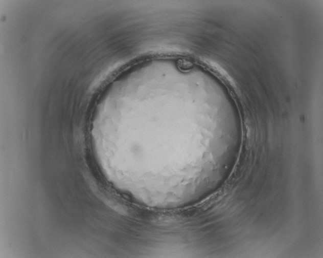 X0000077400487200611101824