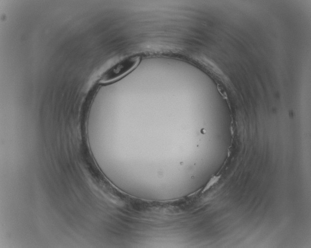 X0000077400488200611101824