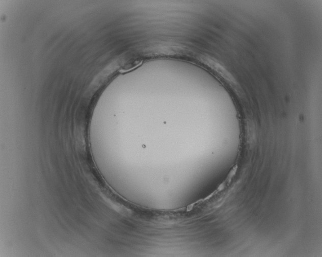 X0000077400489200611101824