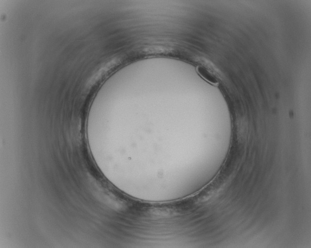 X0000077400490200611101824