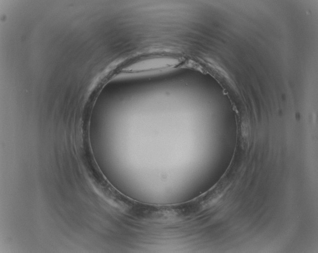 X0000077400492200611101824