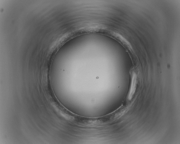 X0000077400493200611101824