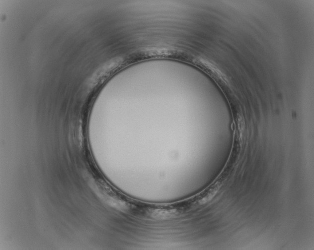 X0000077400494200611101824