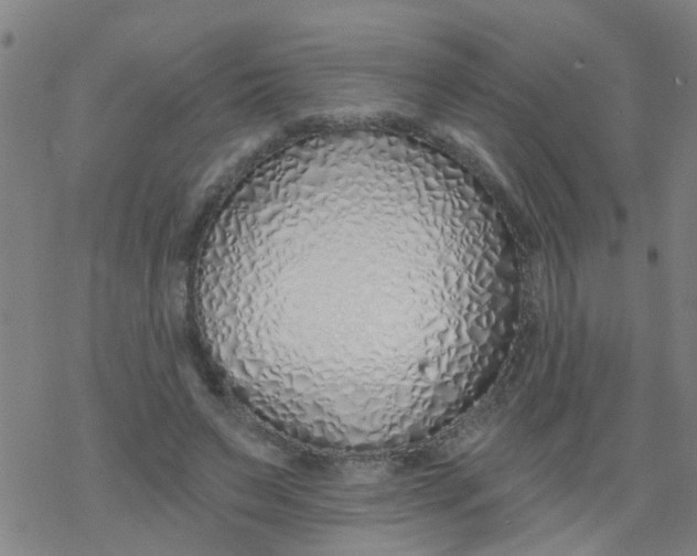 X0000077400495200611101824