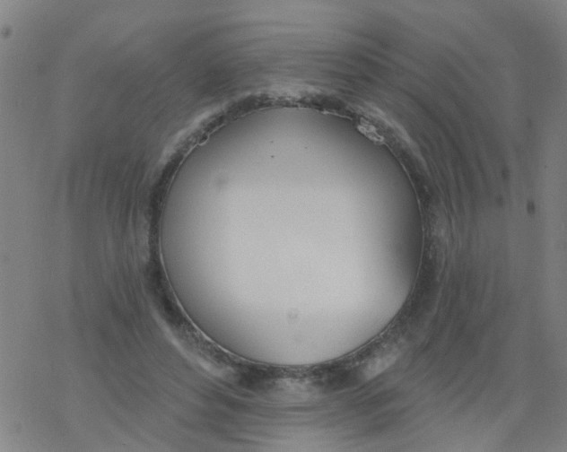 X0000077400496200611101824