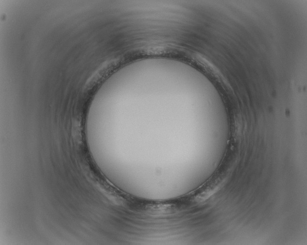 X0000077400497200611101824