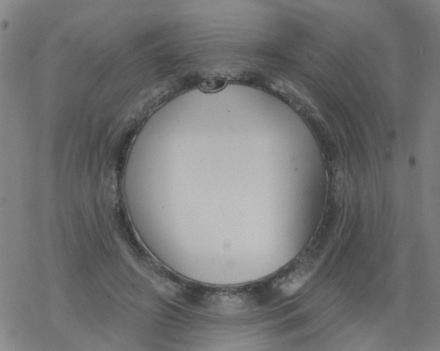 X0000077400498200611101824