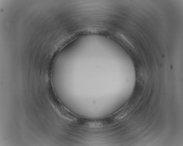 X0000077400500200611101823