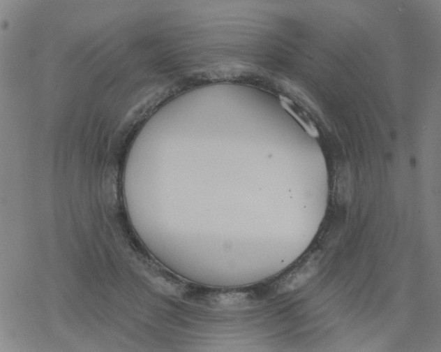 X0000077400501200611101823