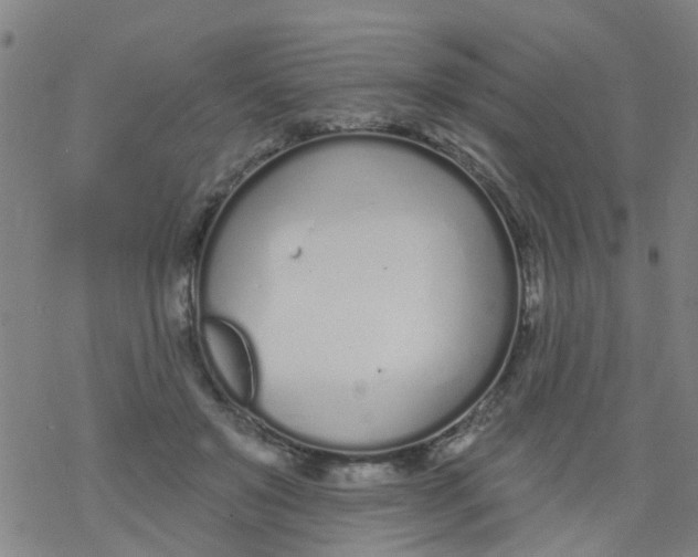 X0000077400503200611101823