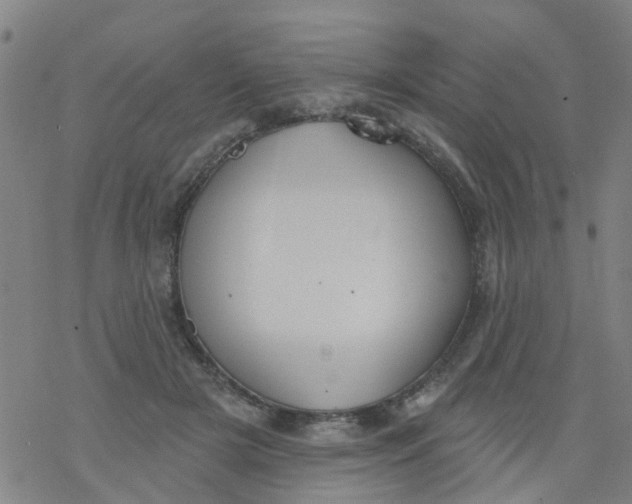 X0000077400505200611101823