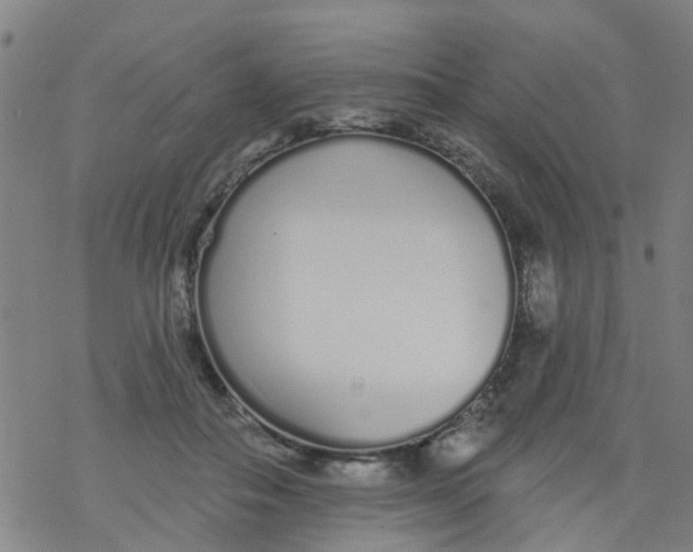 X0000077400506200611101823