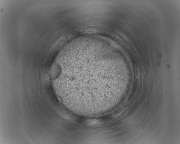 X0000077400507200611101823