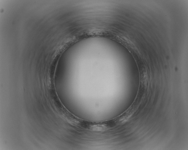 X0000077400508200611101823