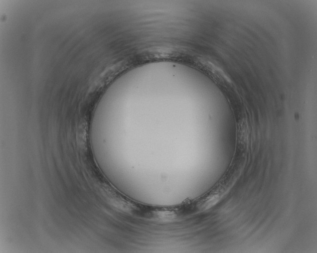 X0000077400509200611101823