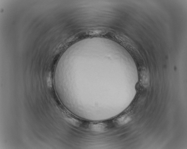 X0000077400510200611101823