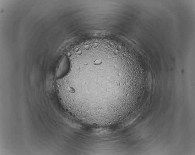 X0000077400511200611101823