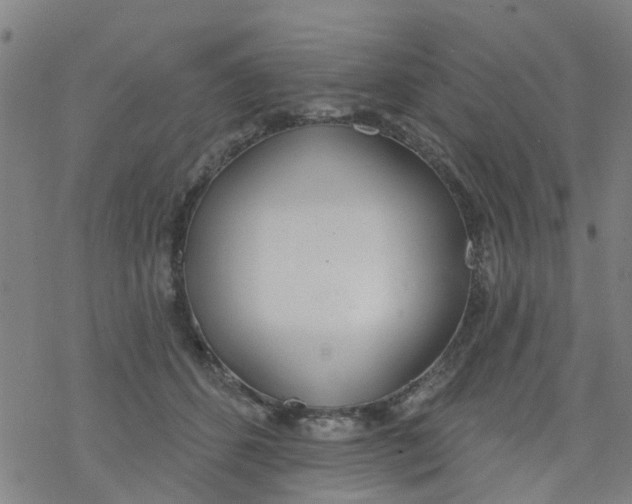 X0000077400512200611101823