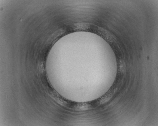 X0000077400514200611101823